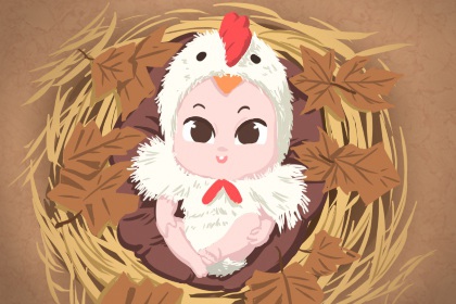 日历查询农历,农历查询,农历2026年老黄历